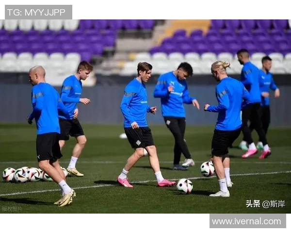 法国与冰岛足球历史交锋数据分析与回顾 法国与冰岛足球历史交锋数据分析与回顾